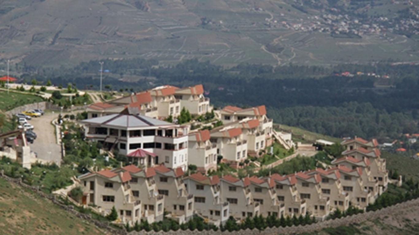 باران سبز