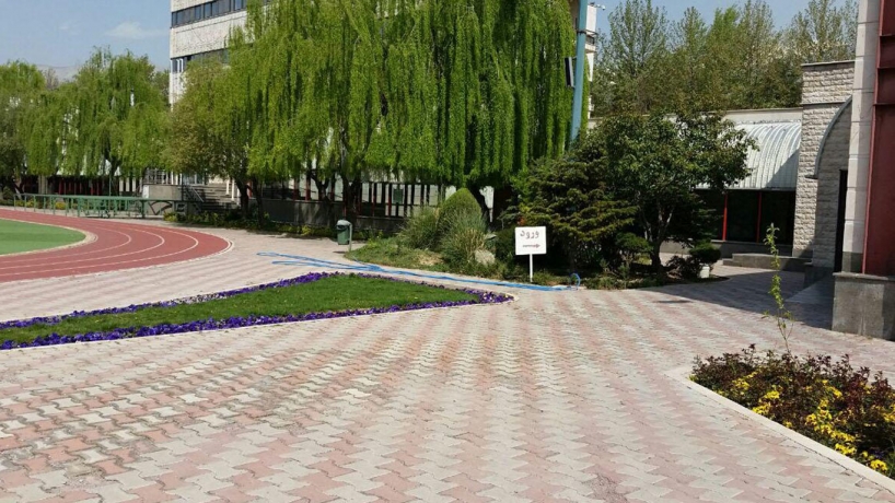 آکادمی المپیک